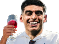 vignolo vin tfc toulouse foot ff