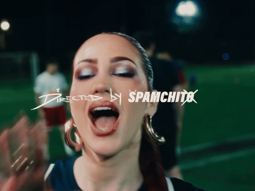 loyaltty guaracheetah chili chilienne rousse gif