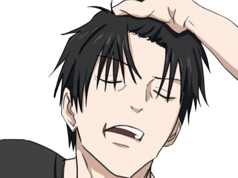 jujutsu kaisen toji fushiguro