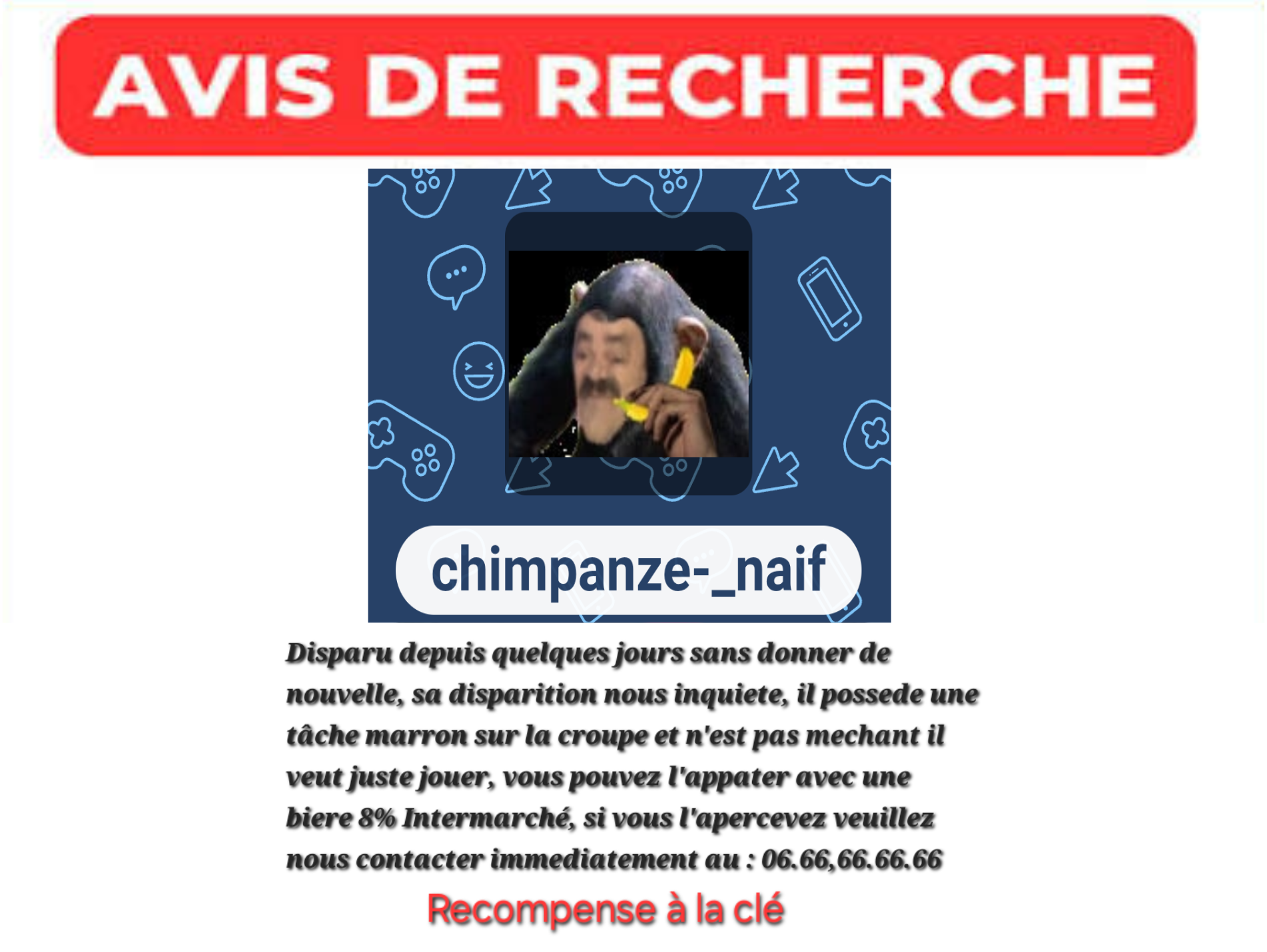 chimpanze naif khey avis de recherche disparition inquietante disparu recompense appel
