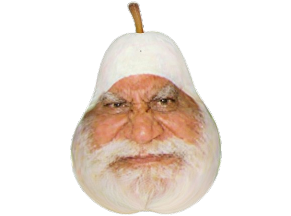 vieux sage indien golo poire space poirespace