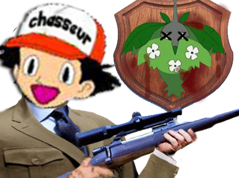 chasse chasseur pokemon cheniselle kalos-sud kalos trophee sacha fusil safari