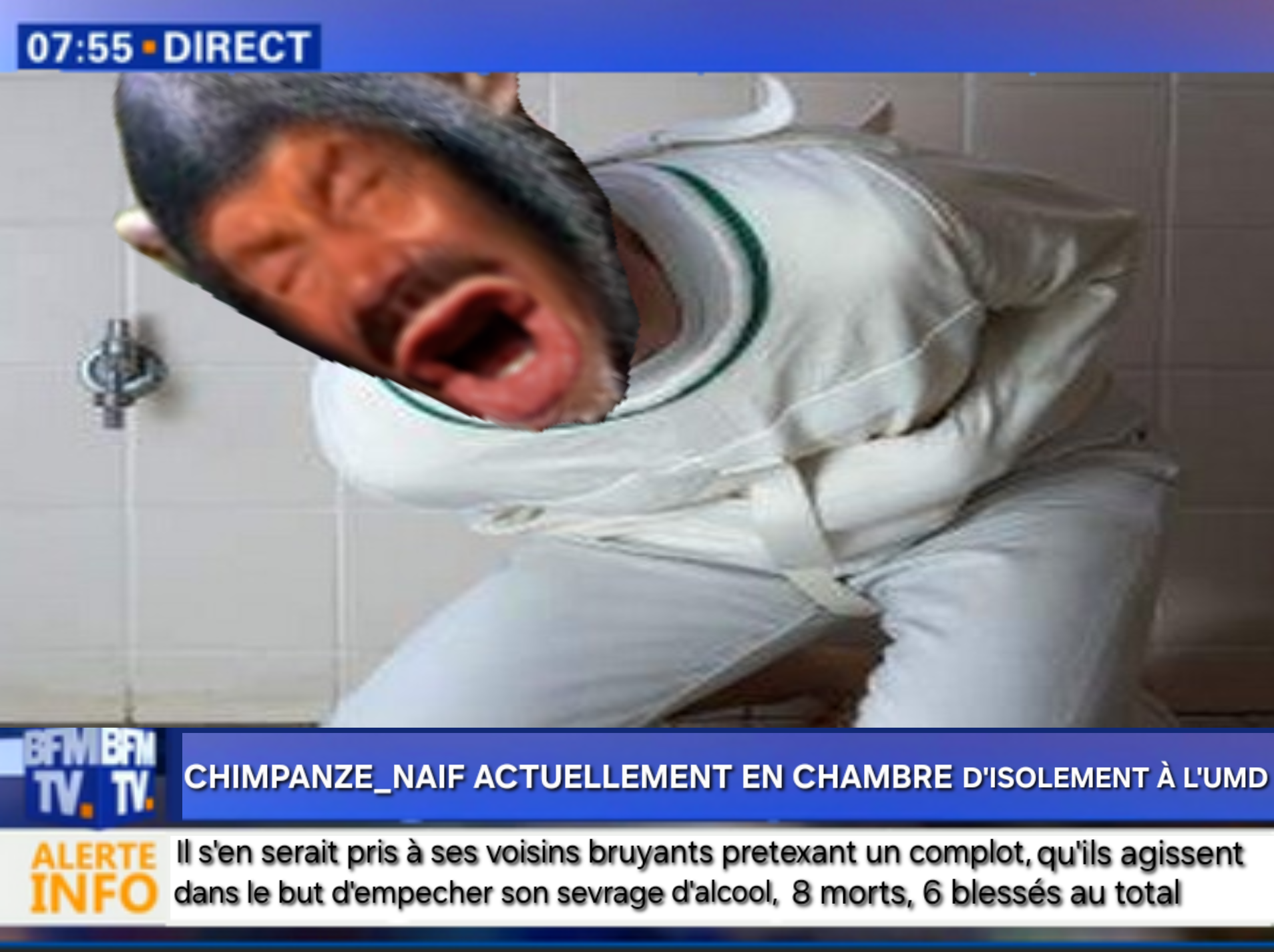 chimpanze naif journal bfm tv bftm news umd chambre isolement camisole fou violent contrainte dangereux