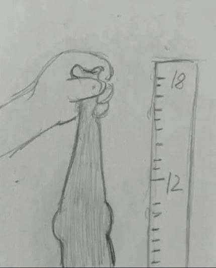 bite taille queue mesure mesurer prepuce gland micropenis kekette sexe