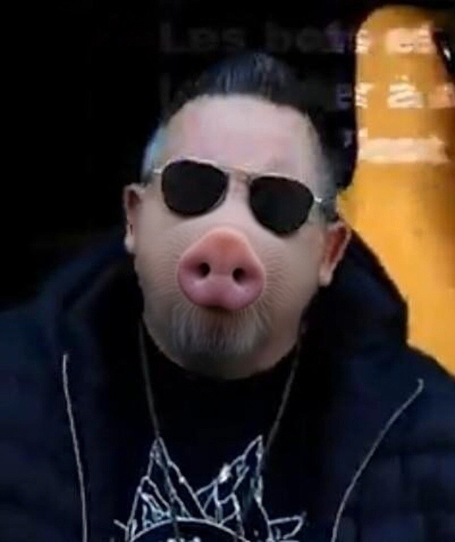 strapendouce porc