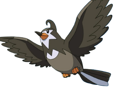 moupe vlt etourvol staravia mukubird pokemon pkm jeu anime type normal vol 4g sinnoh etourneau