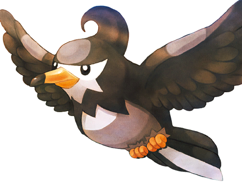 moupe vlt etourvol staravia mukubird pokemon pkm jeu anime type normal vol 4g sinnoh etourneau