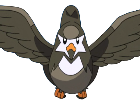 moupe vlt etourvol staravia mukubird pokemon pkm jeu anime type normal vol 4g sinnoh etourneau