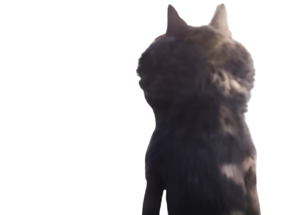 intermarche pub loup