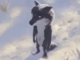 intermarche pub loup