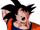 dragonball-dbz-goku-songoku-desole-deso-dsl-warii-oups-tinnova