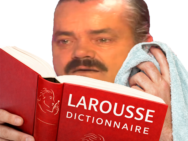 larousse dictionnaire serviette bloop comprendre apprendre mot