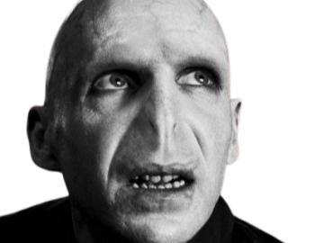 voldemort harry potter ouroboros bloop