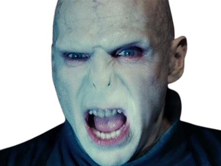 voldemort harry potter ouroboros bloop