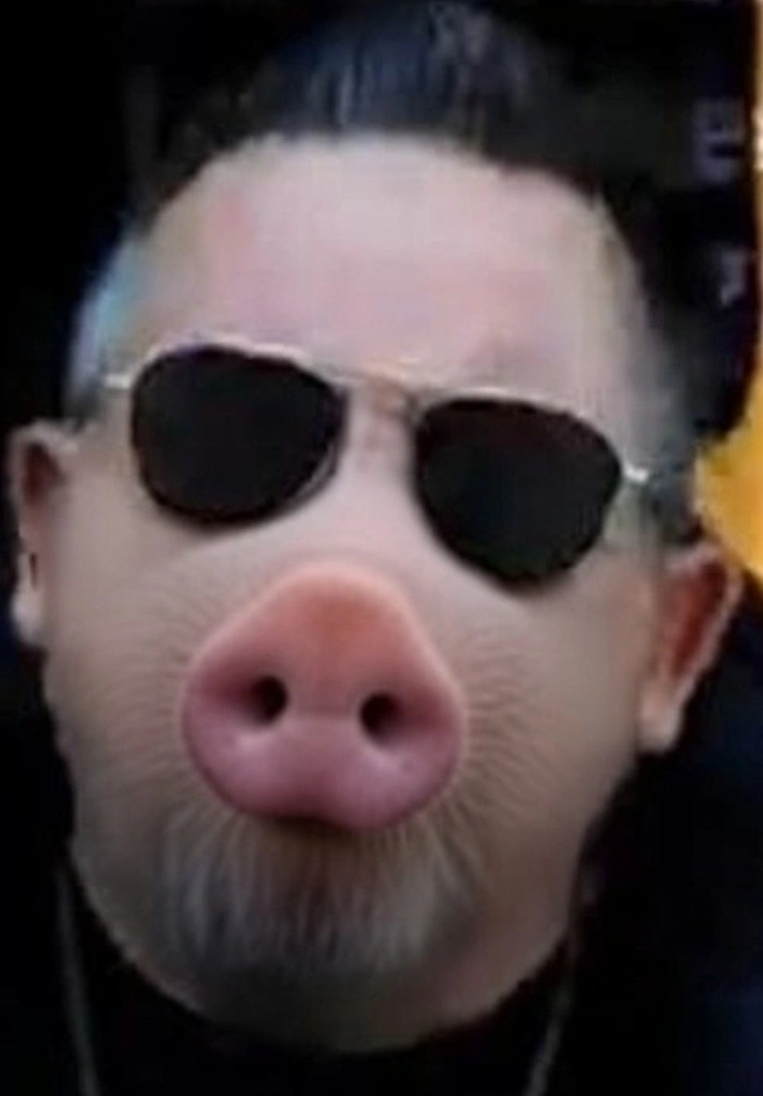 spartan strapendouce nuketv grosporclache