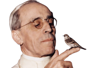 pie xii pape catholique eglise catholicisme oiseau
