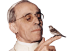 pie-xii-pape-catholique-eglise-catholicisme-oiseau