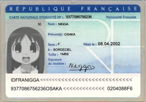 cni carte nationale identite kj anime manga azumanga daioh osaka ayumu kasuga nigga