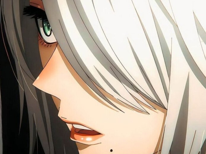 2b nier automata cheveux blancs yeux bleux opale bloop