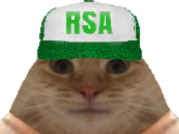 chat miroir avortin casquette rsaiste rsa detritus 0 tout
