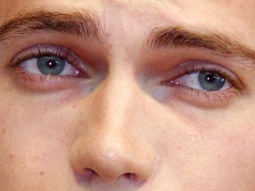 hayden christensen acteur producteur fermier homme canadien americain vingtaine vingtenaire cheveux-chatains yeux-bleus 2000s annees-2000