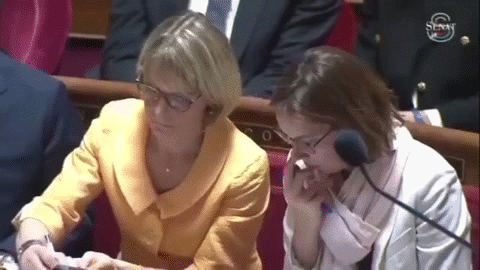 amel mont chalin cour pol macro jupiter corrupt elysee matignon bourbon bercy dgfip tva bank