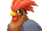 roucarnage-pidgeot-pigeot-delta-fakemon-pokemon-pkm-insurgence-type-tenebres-dragon-kalos-du-sud-kalos-cockatrice-vlt