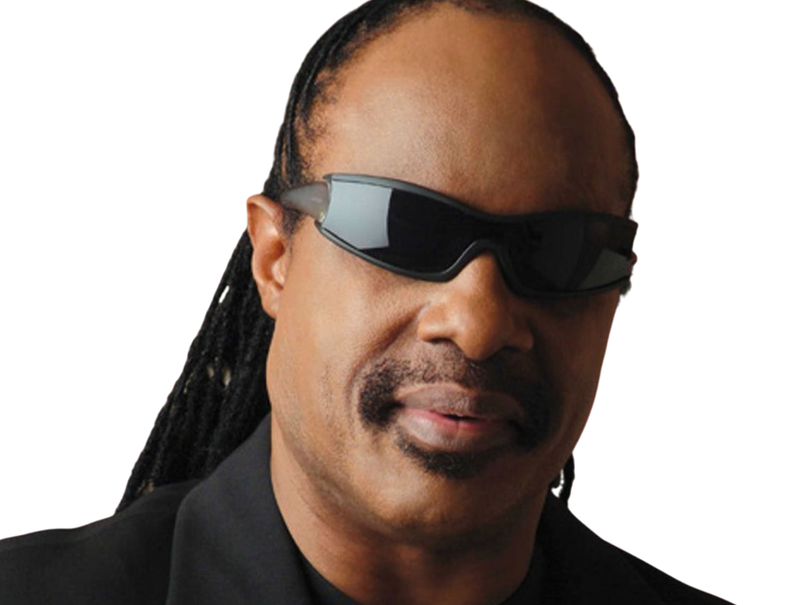 stevie wonder musicien chanteur
