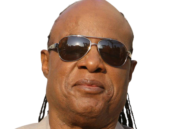 stevie wonder musicien chanteur