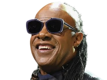 stevie wonder musicien chanteur