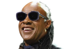stevie-wonder-musicien-chanteur