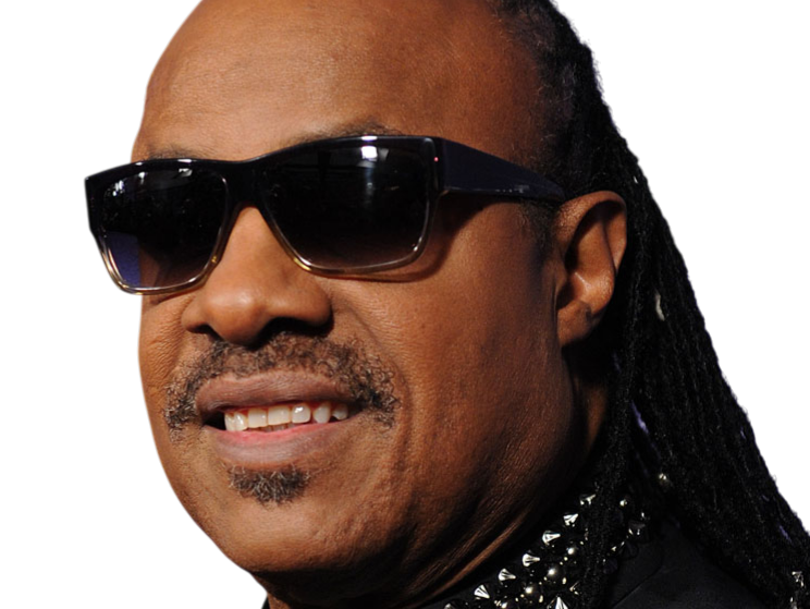 stevie wonder musicien chanteur