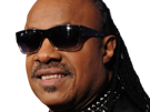 stevie-wonder-musicien-chanteur