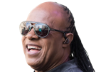 stevie-wonder-musicien-chanteur