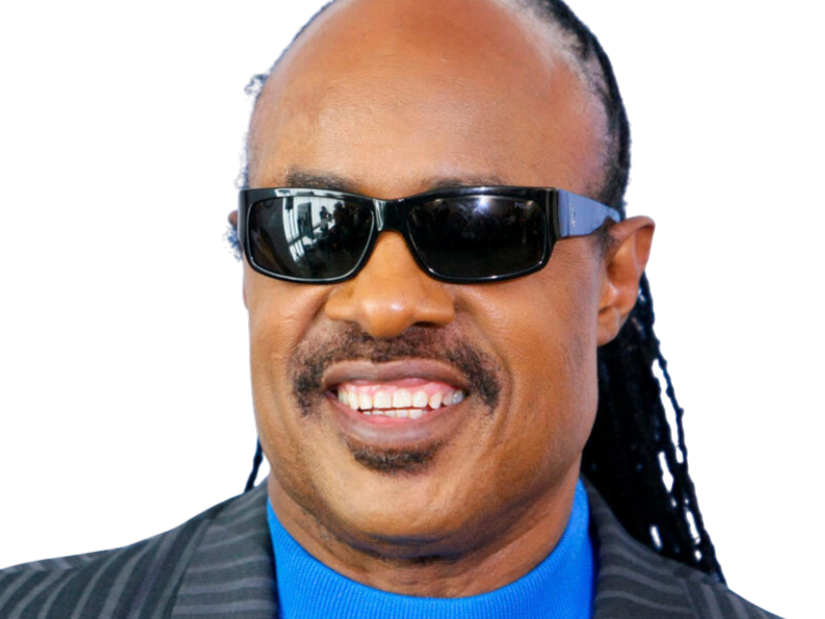 stevie wonder musicien chanteur