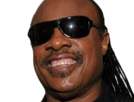 stevie-wonder-musicien-chanteur