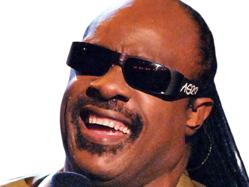 stevie wonder musicien chanteur
