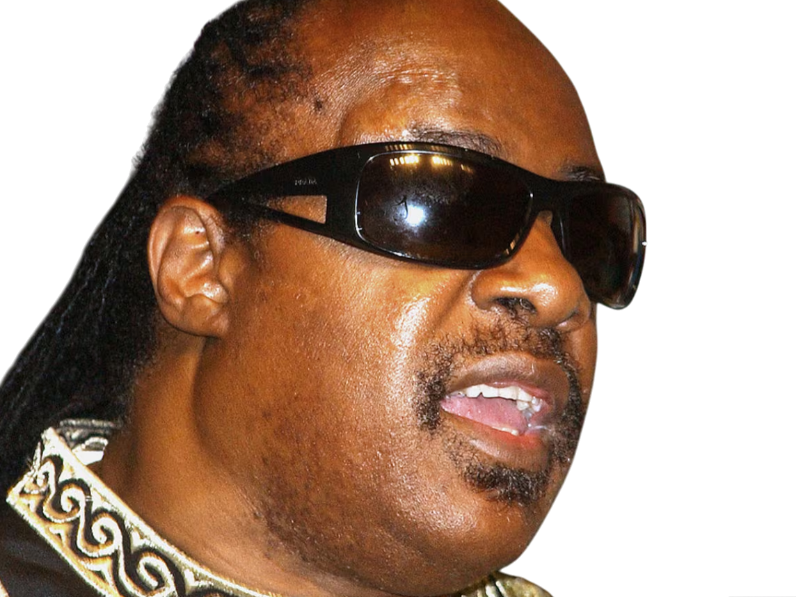stevie wonder musicien chanteur