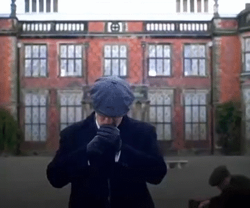 sigma omega beta alpha alfa mgtow redpill pills celib pucix corentin toutes mog couple pick