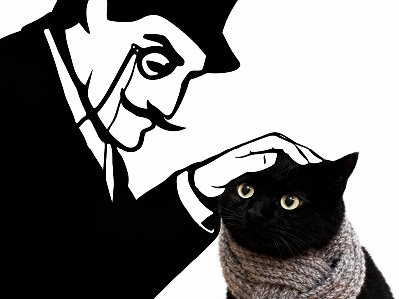 arseneur poudlard caresse chat mignon echarpe maya content