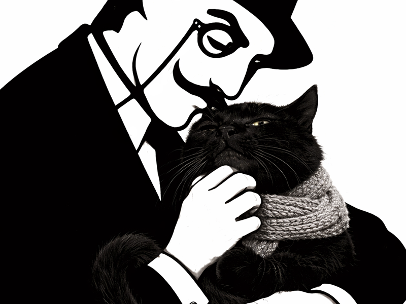 arseneur poudlard caresse chat mignon echarpe maya content papouille