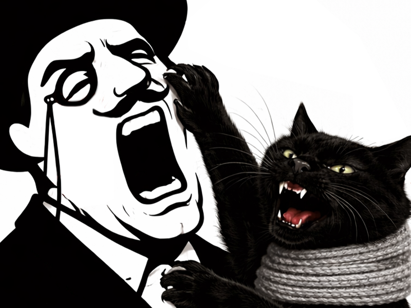 arseneur poudlar chat echarpe griffure griffe visage hurle cri souffrance mechant enerver