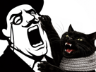 arseneur-poudlar-chat-echarpe-griffure-griffe-visage-hurle-cri-souffrance-mechant-enerver