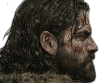 nordique sang barbe guerrier barbare