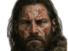 nordique-sang-barbe-guerrier-barbare