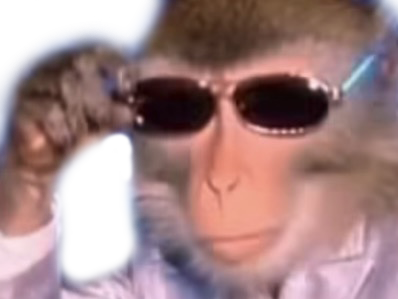 bourse singe bg lunette singerie singesque beau gosse alpha deter lqq regard chad
