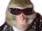 bourse-singe-bg-lunette-singerie-singesque-beau-gosse-alpha-deter-lqq-regard-chad