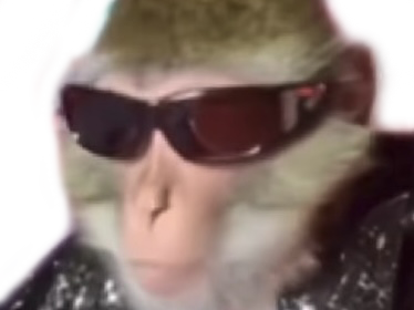 bourse singe bg lunette singerie singesque beau gosse alpha deter lqq regard chad