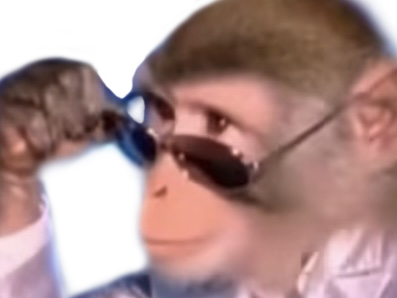 bourse singe bg lunette singerie singesque beau gosse alpha deter lqq regard chad