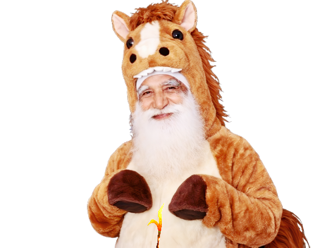 indien poire vieux tison cheval chevaux vache bovin grosse animal furry asterion chevre france rn